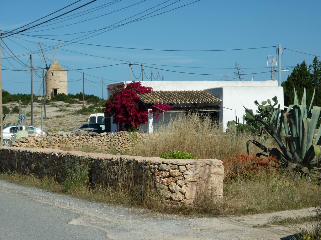 formentera203.jpg