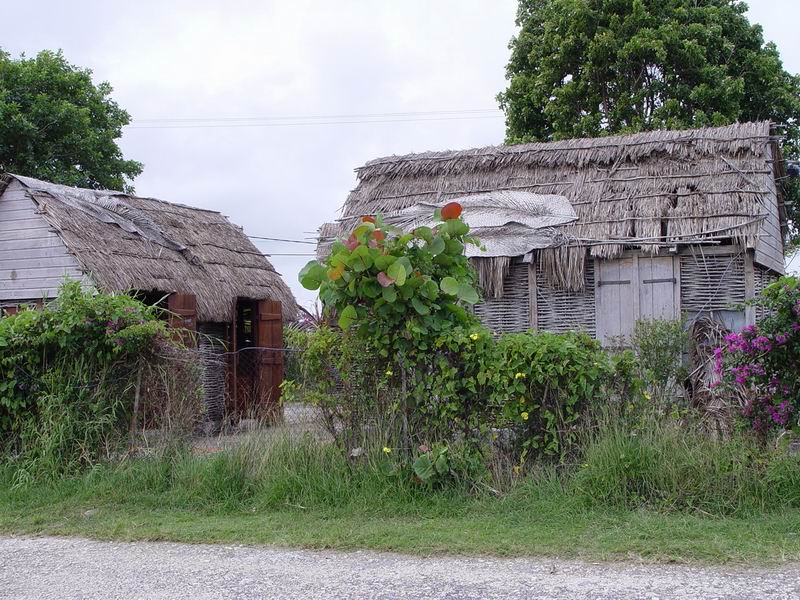 guadeloupe306.jpg