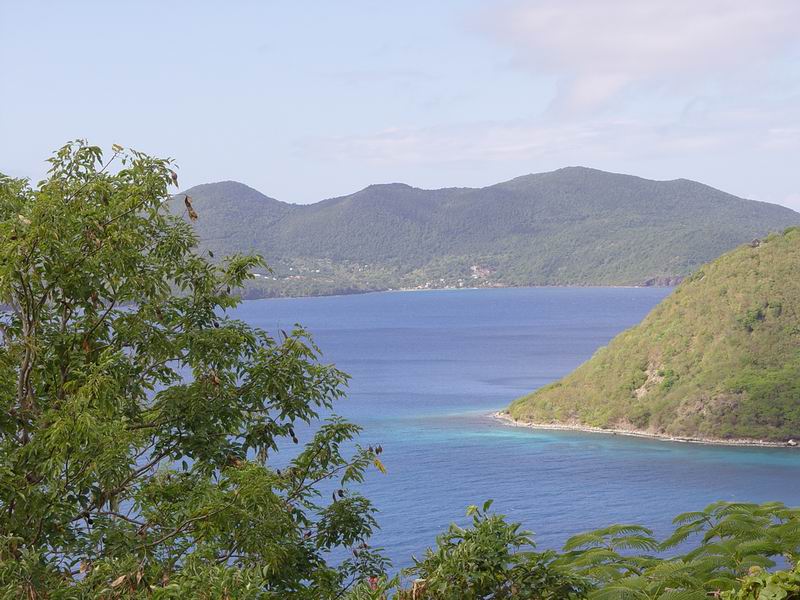 guadeloupe735.jpg