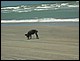 trip_fortaleza_jericoacoara0546.jpg