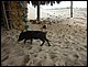 trip_fortaleza_jericoacoara0560.jpg