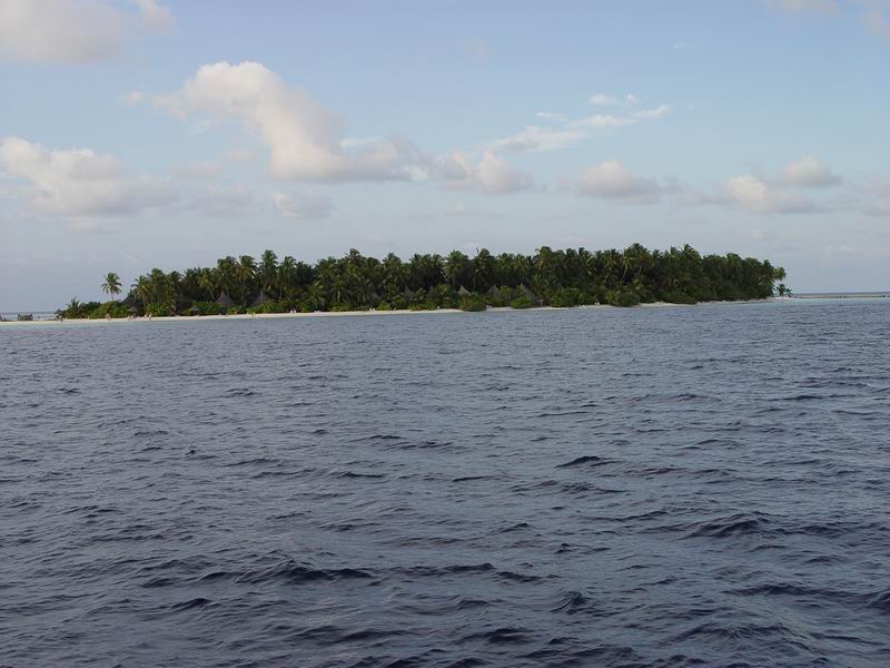 maldives115.jpg