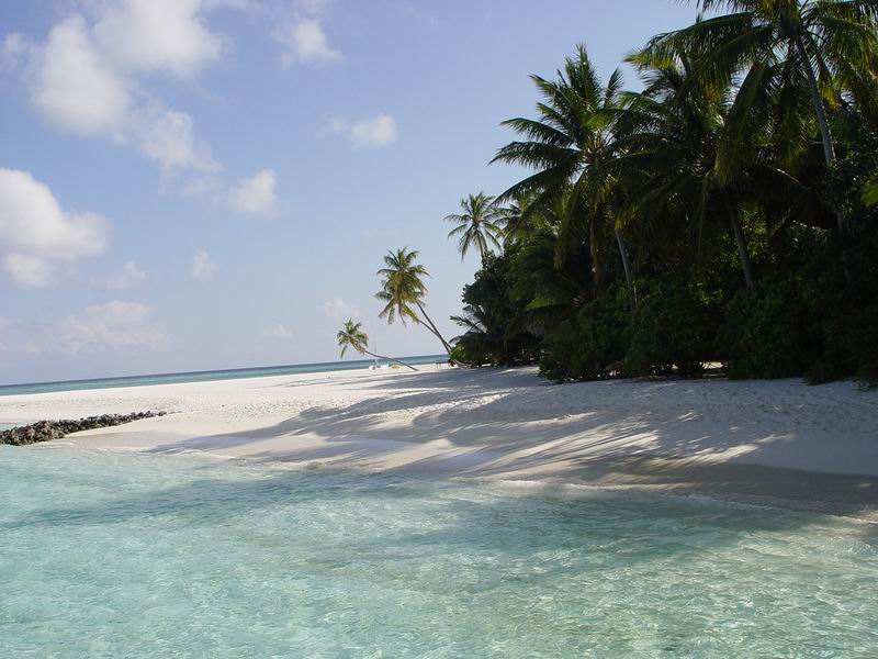 maldives137.jpg