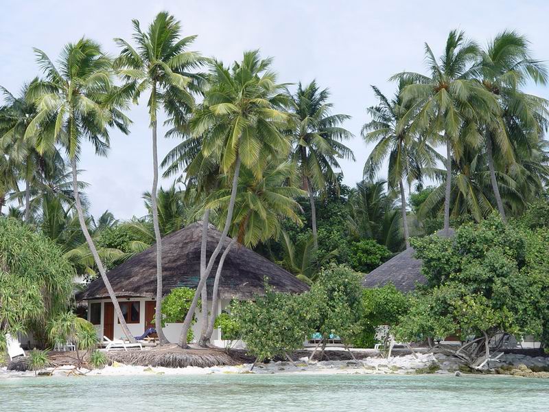 maldives196.jpg
