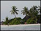 maldives117.jpg