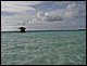 maldives205.jpg